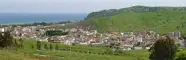 africo_nuovo.webp