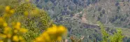 vista_casalinuovo_da_africo.webp